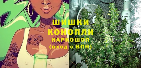 трава Вязьма
